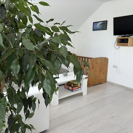 Apartment Magdalena Korenica Ngoại thất bức ảnh